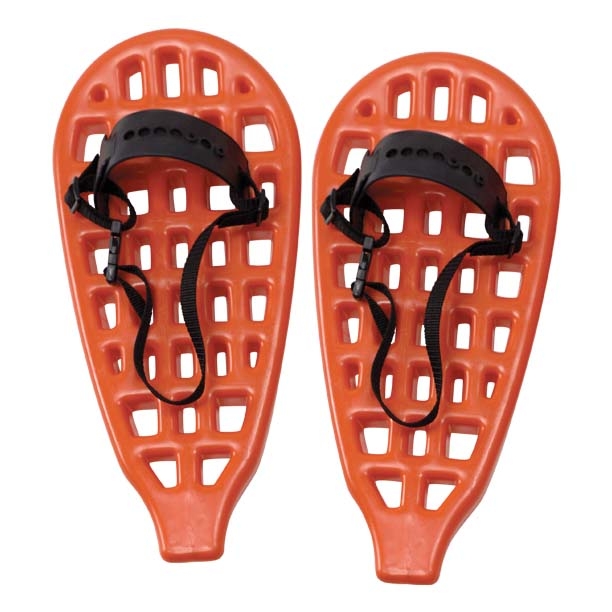 Dog with snowshoes 2025