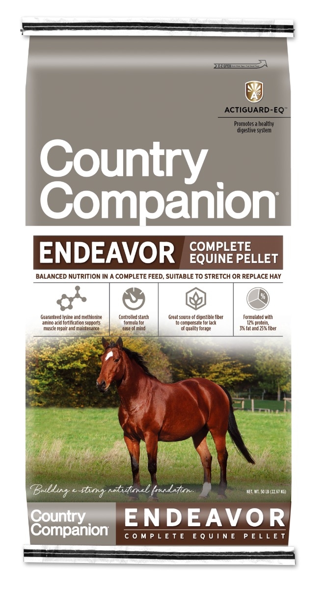 Alfombra para Lluvia Cwell Equine Color Rosa 100% Impermeable, Transpirable, 600 Denier, 63